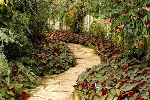 4 razones por las que tener un jardín sostenible - Imagen 2