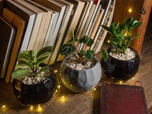 Decoración sostenible: ¿qué significa?